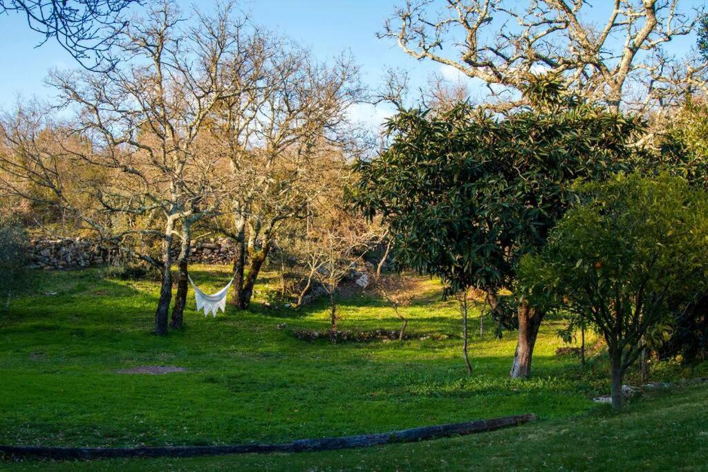 Casa Do Vale Do Papo Villa Pombal  Dış mekan fotoğraf
