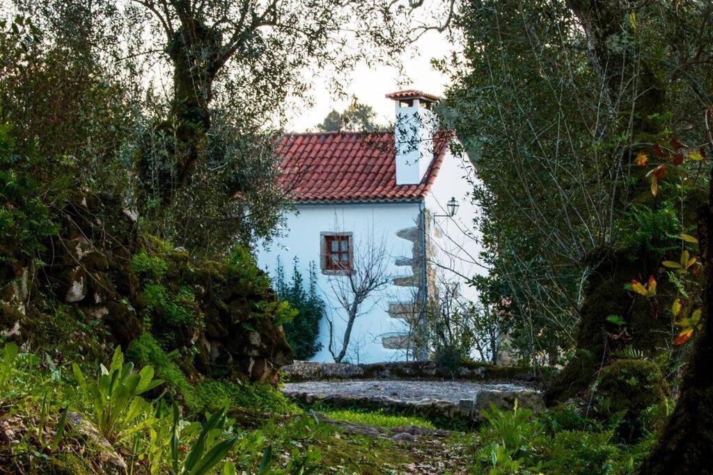 Casa Do Vale Do Papo Villa Pombal  Dış mekan fotoğraf